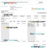 Apple inc pay stub Word and PDF example