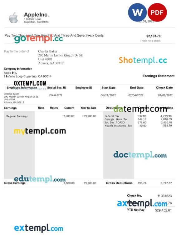 Apple inc pay stub Word and PDF example