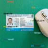 Argentina driving license PSD files, scan look and photographed image, 2 in 1