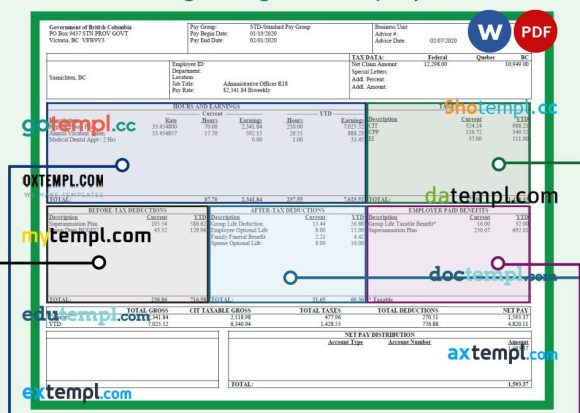 BARGAINING UNIT employee pay stub Word and PDF example