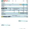 BAYER pay stub Word and PDF example