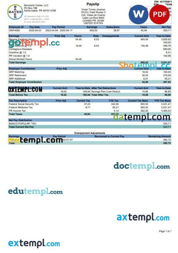 BAYER pay stub Word and PDF example