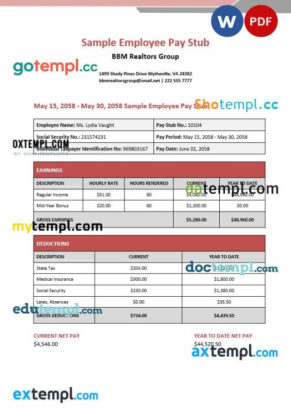 BBM realtors group employee pay stub example in PDF and Word formats