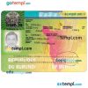 Burundian travel visa PSD example, with fonts