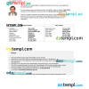 Bahamas e-visa Word and PDF example