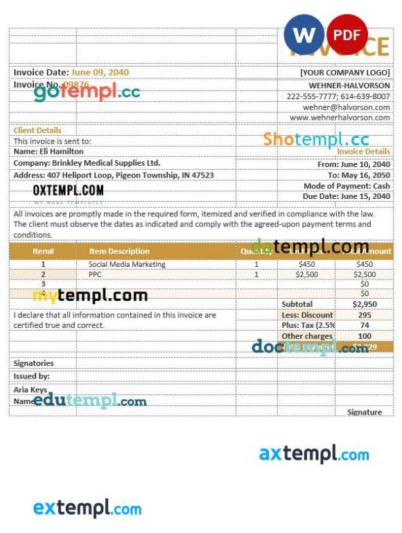 Basic agency invoice example in word and pdf format