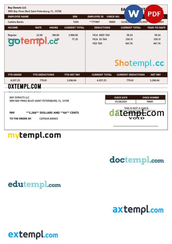 BAY DONUTS LLC earnings statement Word and PDF example