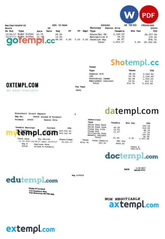BEE-CLEAN Industrial Ltd. pay stub Word and PDF example