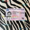 Belgium driving license PSD files, scan look and photographed image, 2 in 1 (version 2)
