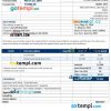Blank Agency Invoice example in word and pdf format
