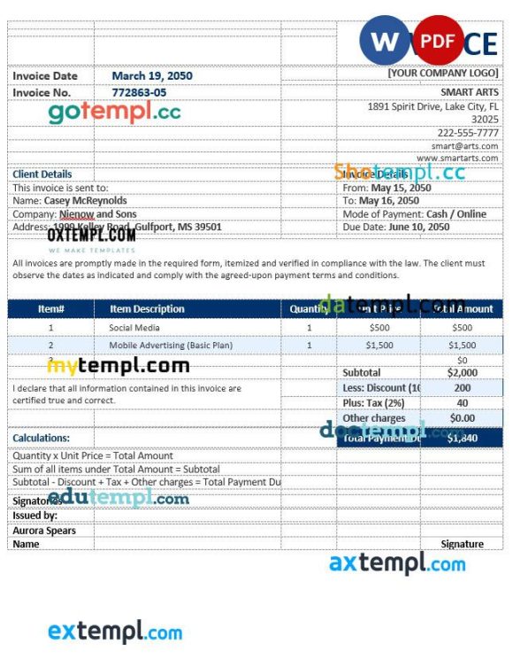 Blank Agency Invoice example in word and pdf format