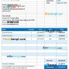 Blank Cleaning Service Invoice example in word and pdf format