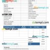 Blank Commercial Invoice example in word and pdf format