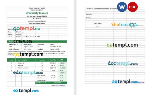 Blank University Invoice example in word and pdf format