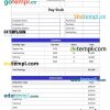 Bluefield Corp. Ltd pay stub Word and PDF example