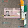 Bosnia and Herzegovina Belarus driving license PSD files, scan look and photographed image, 2 in 1