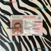 Burkina Faso driving license editable PSD files, scan look and photo-realistic look, 2 in 1