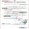 Burkina Faso International Polyclinic of Ouagadougou certificate of employment Word and PDF download template