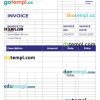 Business Advisor Invoice example in word and pdf format
