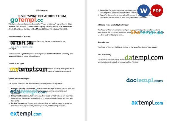 Business Power of Attorney Form example, fully editabl