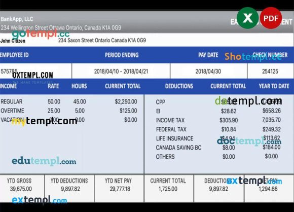 CANADA BANKAPP LLC earning statement example in EXCEL and PDF formats