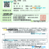 Chinese health insurance PSD example, with fonts
