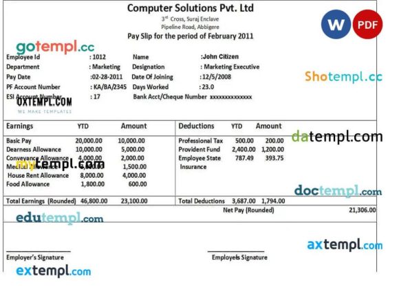 COMPUTER solutions Pvt. Ltd pay stub example in Word and PDF formats
