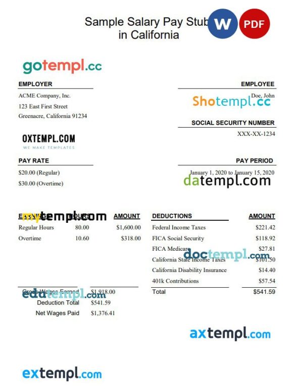 California salary pay stub Word and PDF example