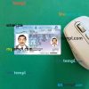 Canada Northwest Territories driving license editable PSD files, scan look and photo-realistic look, 2 in 1
