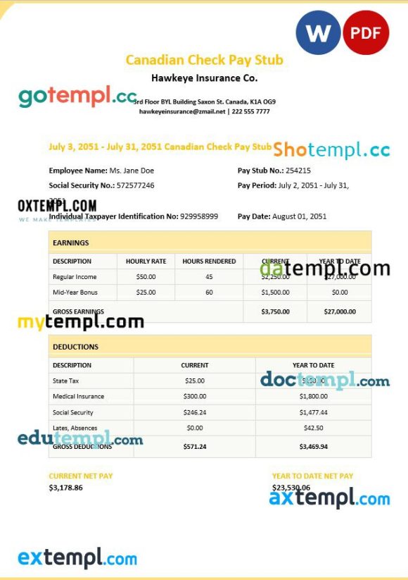 Canadian Chek pay stub Word and PDF example