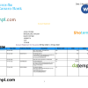 India Canara bank statement, Word and PDF template, 5 pages