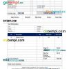 Car sales invoice example in word and pdf format
