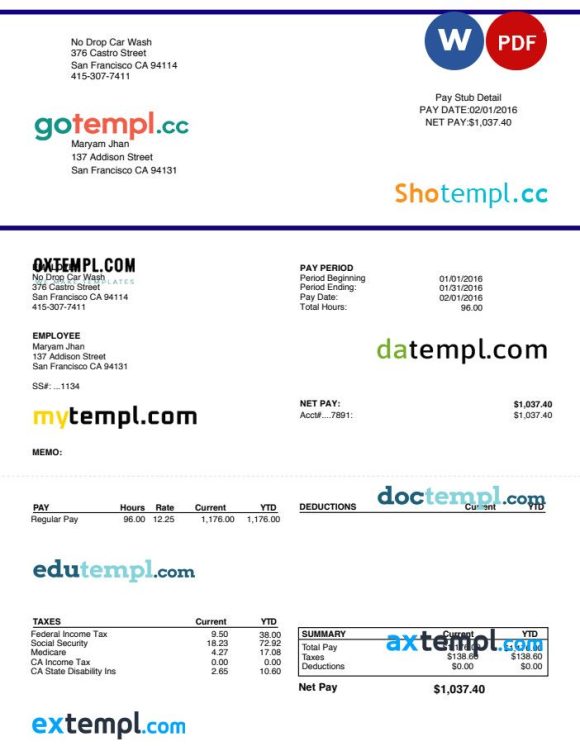 Car wash pay stub Word and PDF example