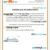Chad Cabinet Dental Keller certificate of employment Word and PDF download template