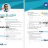 Chemical Patent Attorney Resume example, fully editable