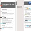 City Attorney Resume example, fully editable