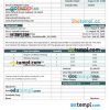 Cleaning Company Invoice example in word and pdf format