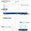 Cleaning service invoice example in word and pdf format