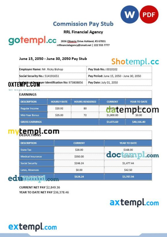 Commission pay stub Word and PDF example