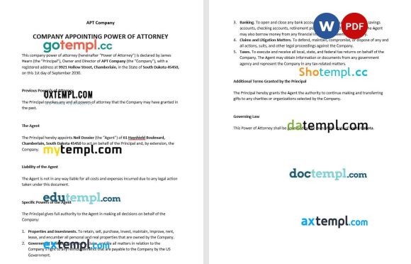 Company Appointing Power of Attorney example, fully editable