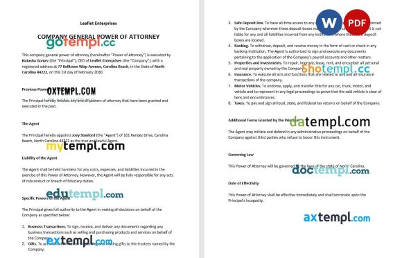 Company General Power of Attorney example, fully editable