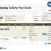 Company Salary pay stub Word and PDF example