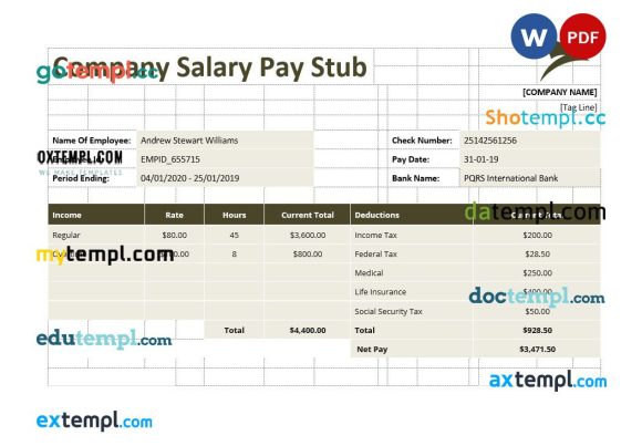 Company Salary pay stub Word and PDF example