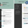 Contract Attorney Resume example, fully editable