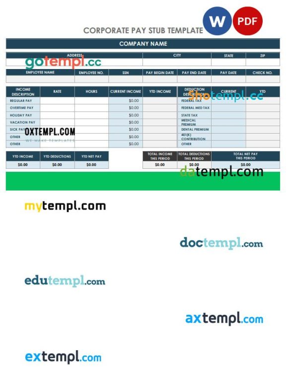 Corporate pay stub Word and PDF example