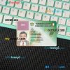Cote D'ivoire driving license editable PSD files, scan look and photo-realistic look, 2 in 1