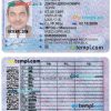 Donetsk driver license PSD template