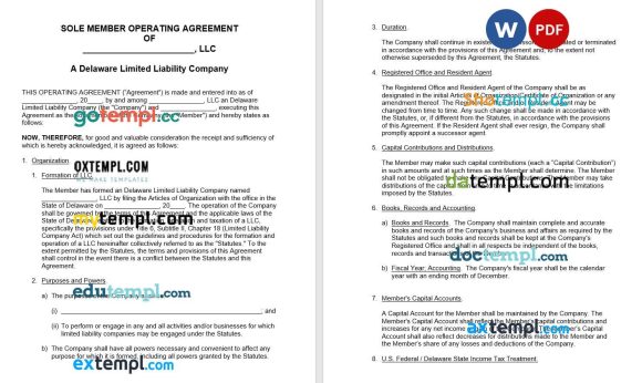 Delaware Single Member LLC Operating Agreement Word example, fully editable
