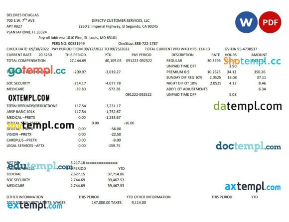 Delores Douglas pay stub Word and PDF example