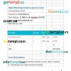 Digital Marketing Company Agency Invoice example in word and pdf format